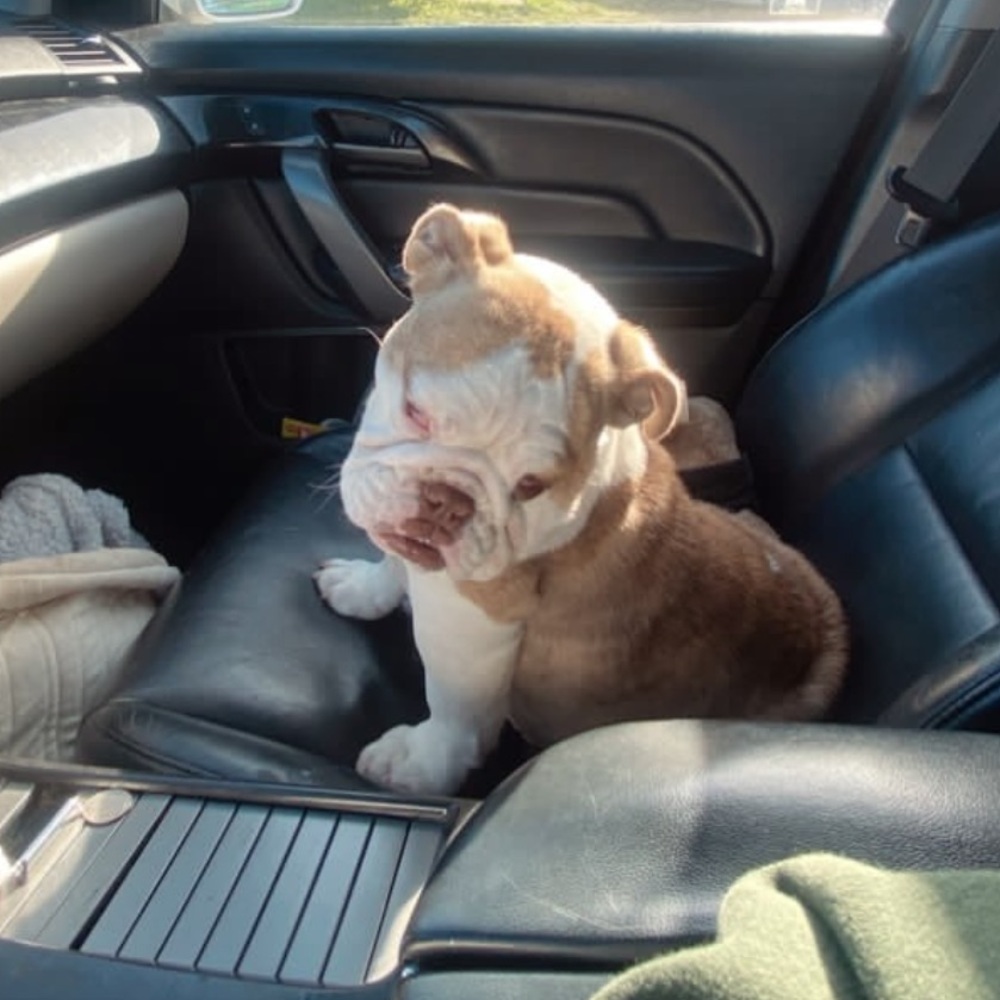 Meet your Posher, Estefani